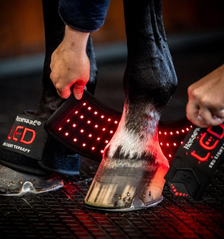 Horseware LED Red Light Therapy Mini Wrap