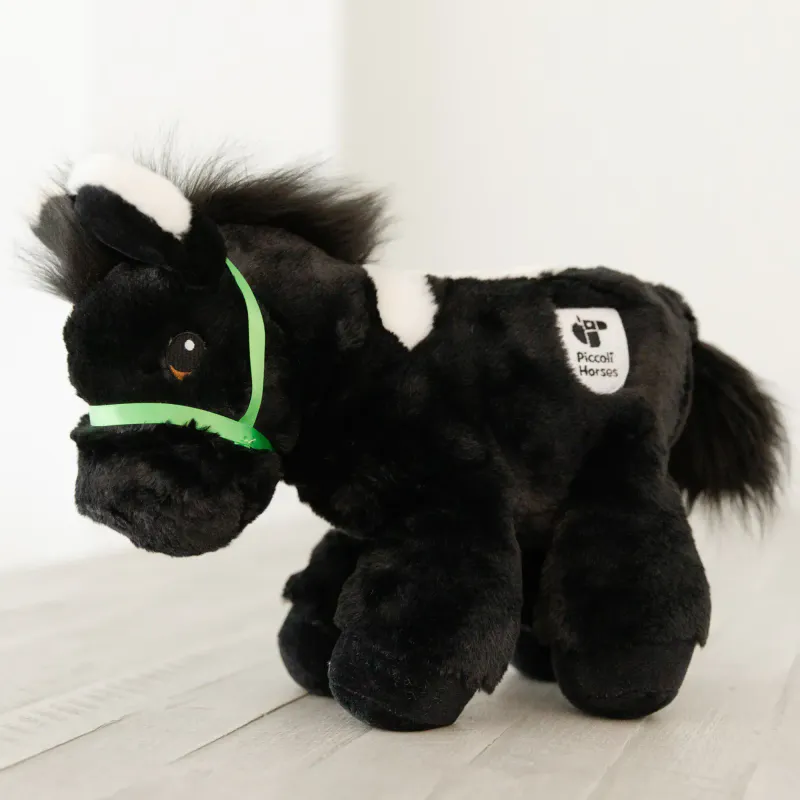 Piccoli Donkey - Topher
