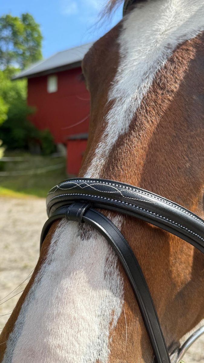 SE Design Smaragd Anatomisk Hodelag m/mønstersøm