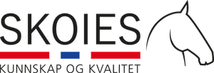 Skoies AS