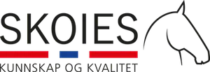 Skoies AS