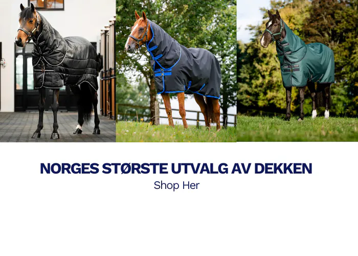 Dekken