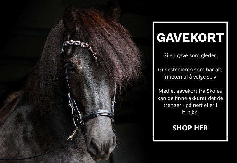 Gavekort