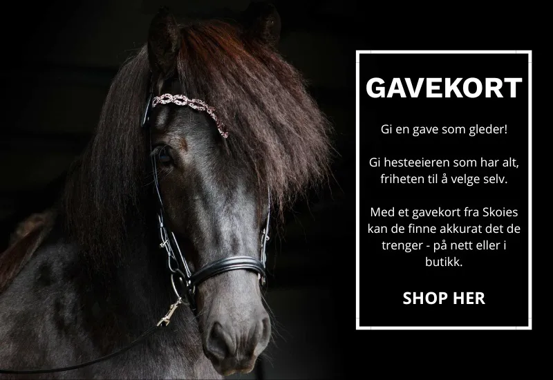 Gavekort