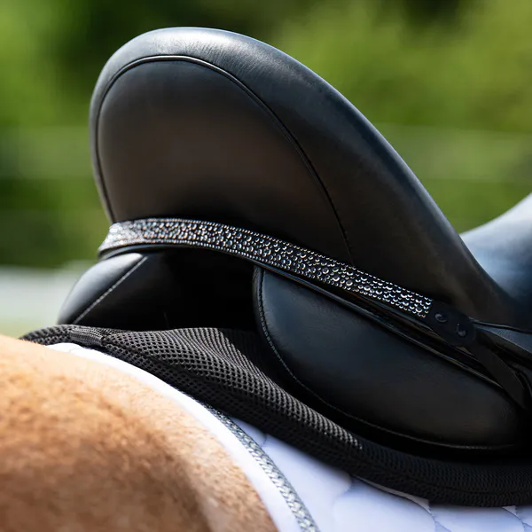 Hovedbilde Salsmykke