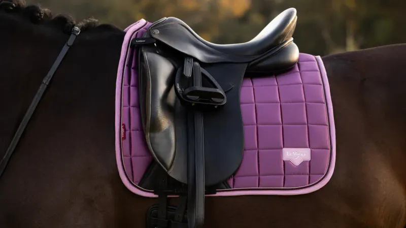 LeMieux Loire Classic Dressur Schabrak - Mallow