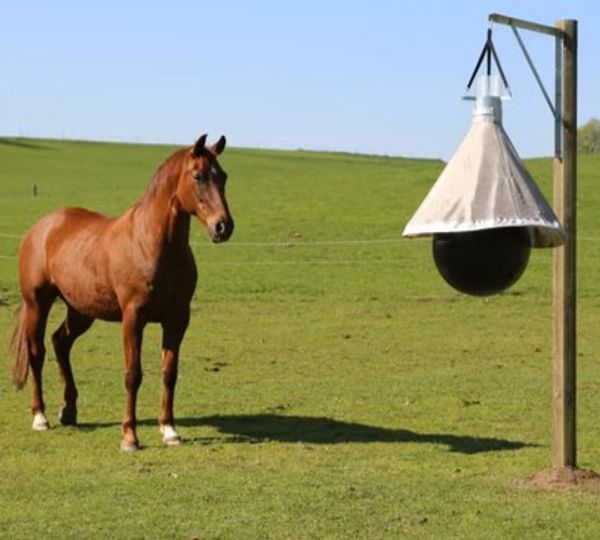 Hovedbilde Insektsfelle Taon-X Fly Trap