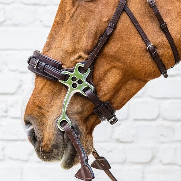 Hovedbilde Dyon Hackamore