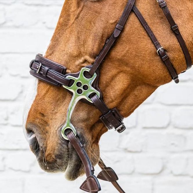 Hovedbilde Dyon Hackamore