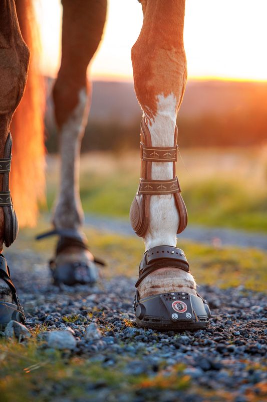 Equine Fusion Trailblazer