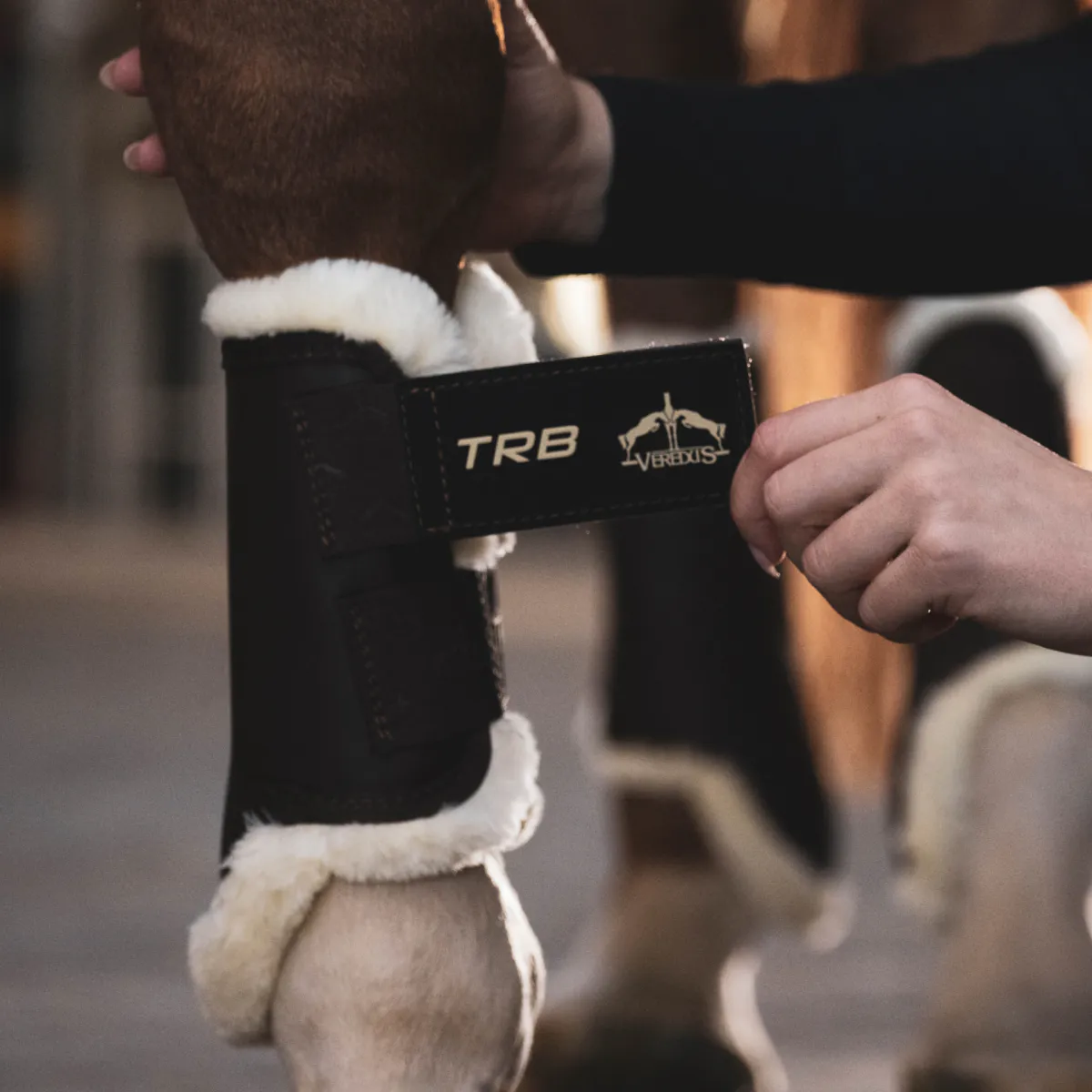 Veredus TRB STS Frembensbelegg 
