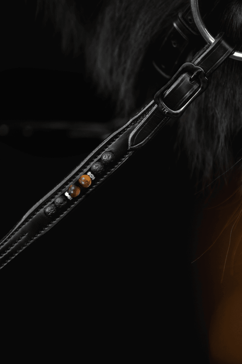 Top Reiter Orka T2 Tøyler