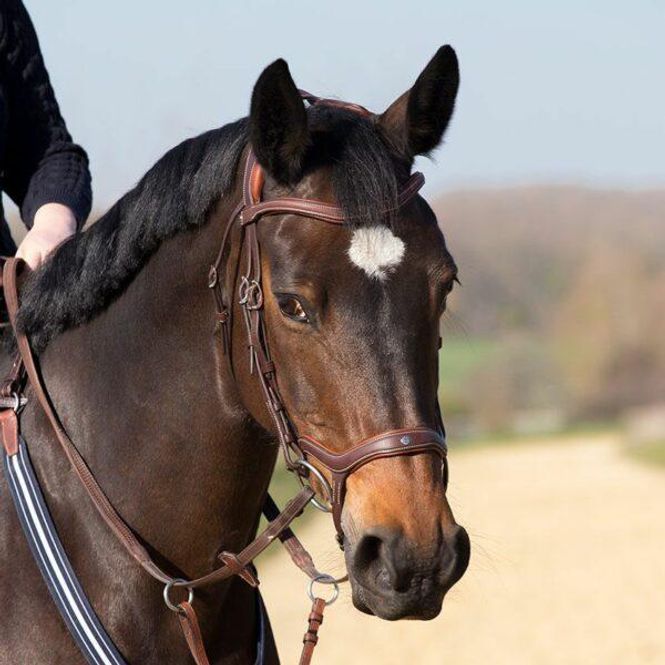 Hovedbilde Antares Precision Hodelag med Y-nesereim