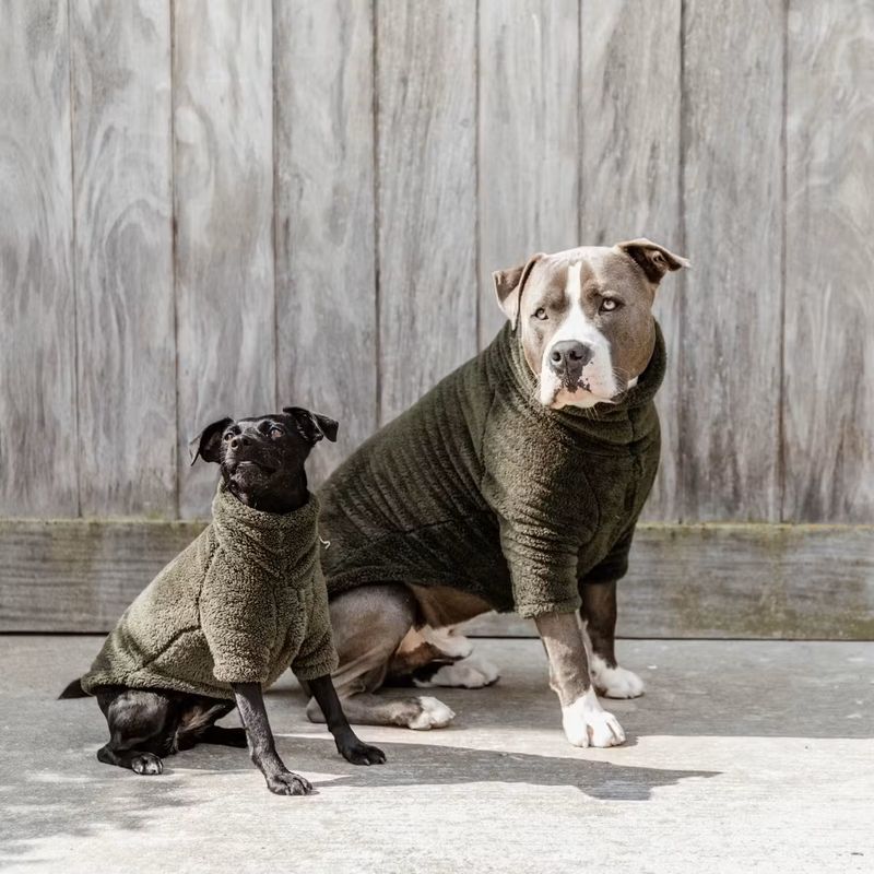 Kentucky Dog Sweater Teddy Fleece