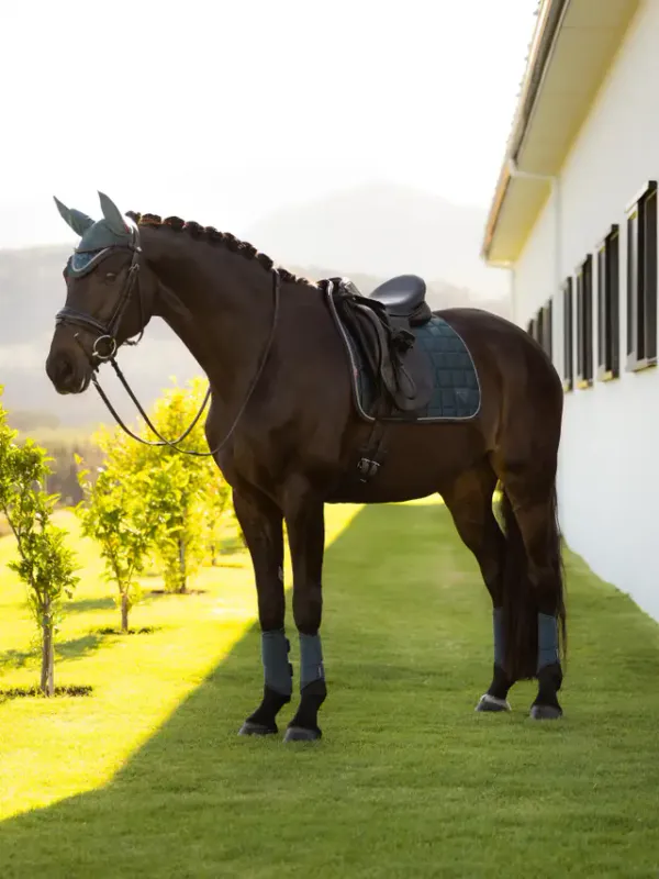 LeMieux Loire Classic Dressur Schabrak - Jungle