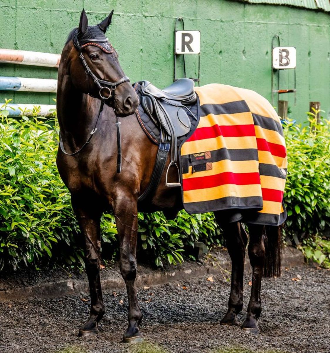 Horseware Newmarket Fleece Cooler - Witney Gold