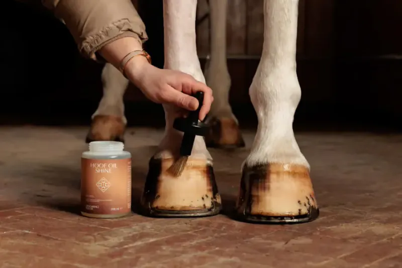 Grooming Deluxe Hoof Oil Shine Blank