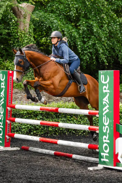 Hovedbilde Horseware Ionic Calming Face Mask