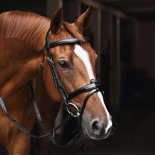 Hovedbilde Antares Signature Hodelag