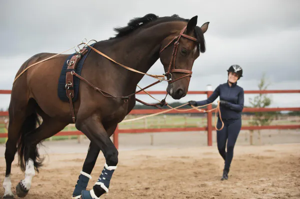 Hovedbilde Tømmekjøring Tøyler 16m